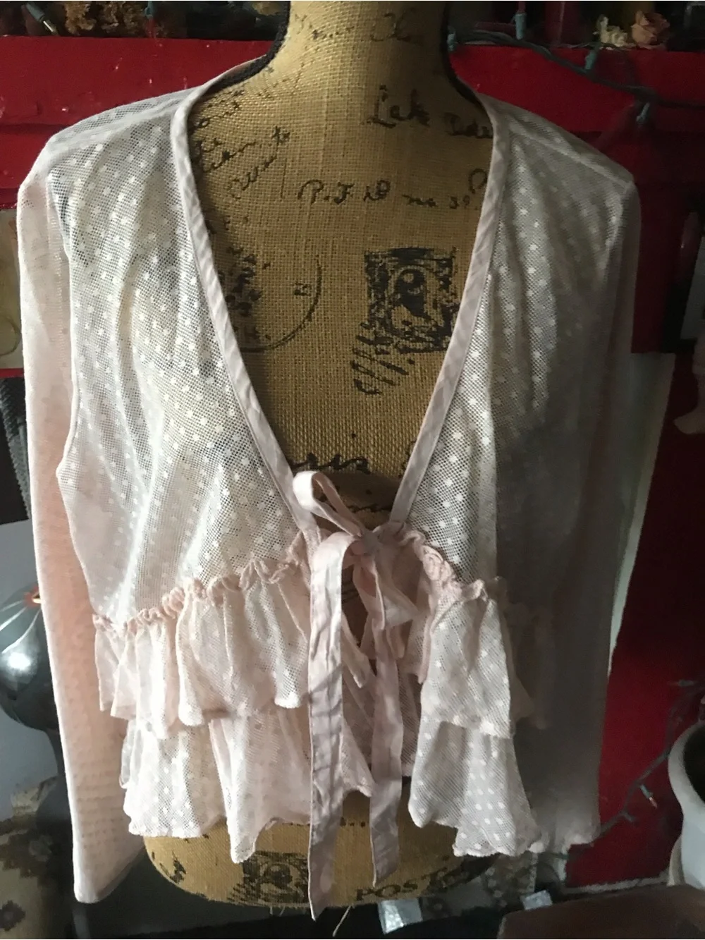 Heart’s Desire by Mary Grace Sheer Blush Pink Ruffled Tie-Front top - Picture 2 of 14